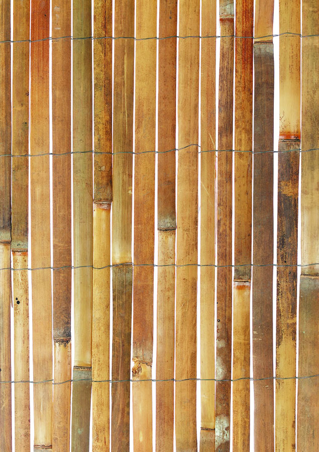 Bamboo Slat Screen 4m long x 1.5m high