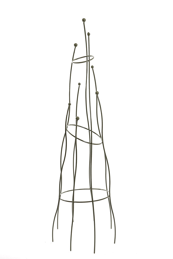 Crooked Garden Obelisk Sage (large)