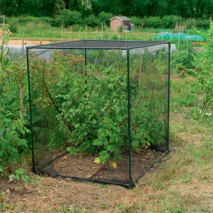 Cloches & Crop Protection