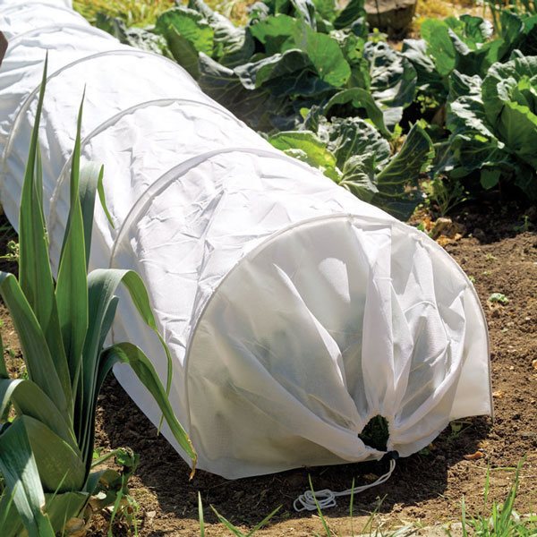 Fleece Grow Tunnel - Crop Protection