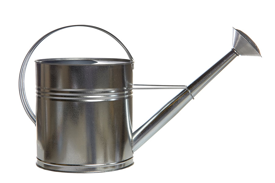10L Large Long Reach Galvanised Watering Can