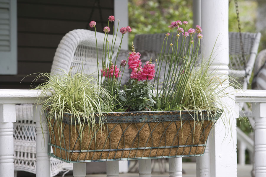 Window Boxes & Troughs