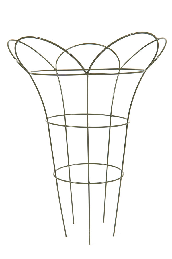 Large Sage Cottage Garden Herbaceous Plant Support Basket