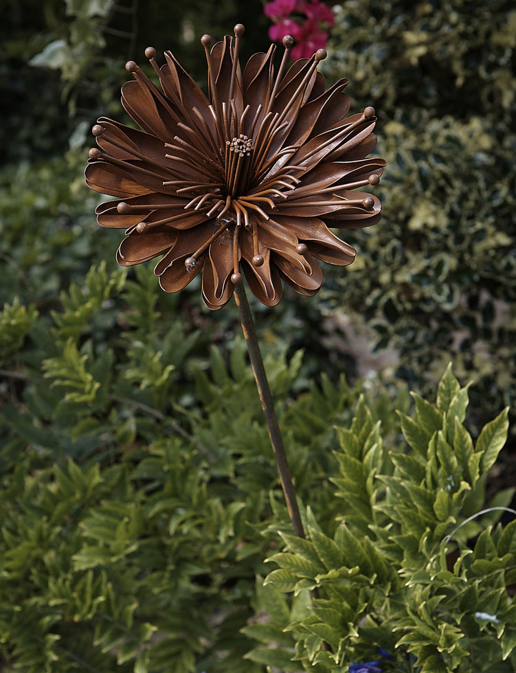 Rustic Aster Plant Stake
