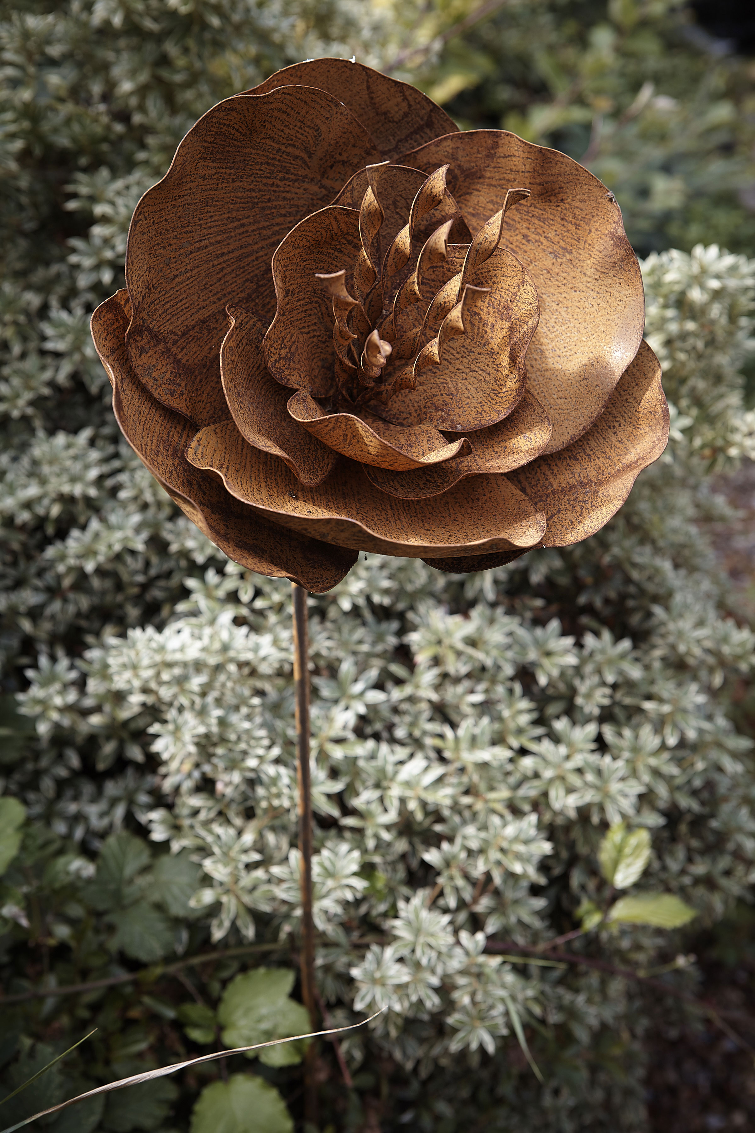 Rustic Oriental Poppy Plant Stake