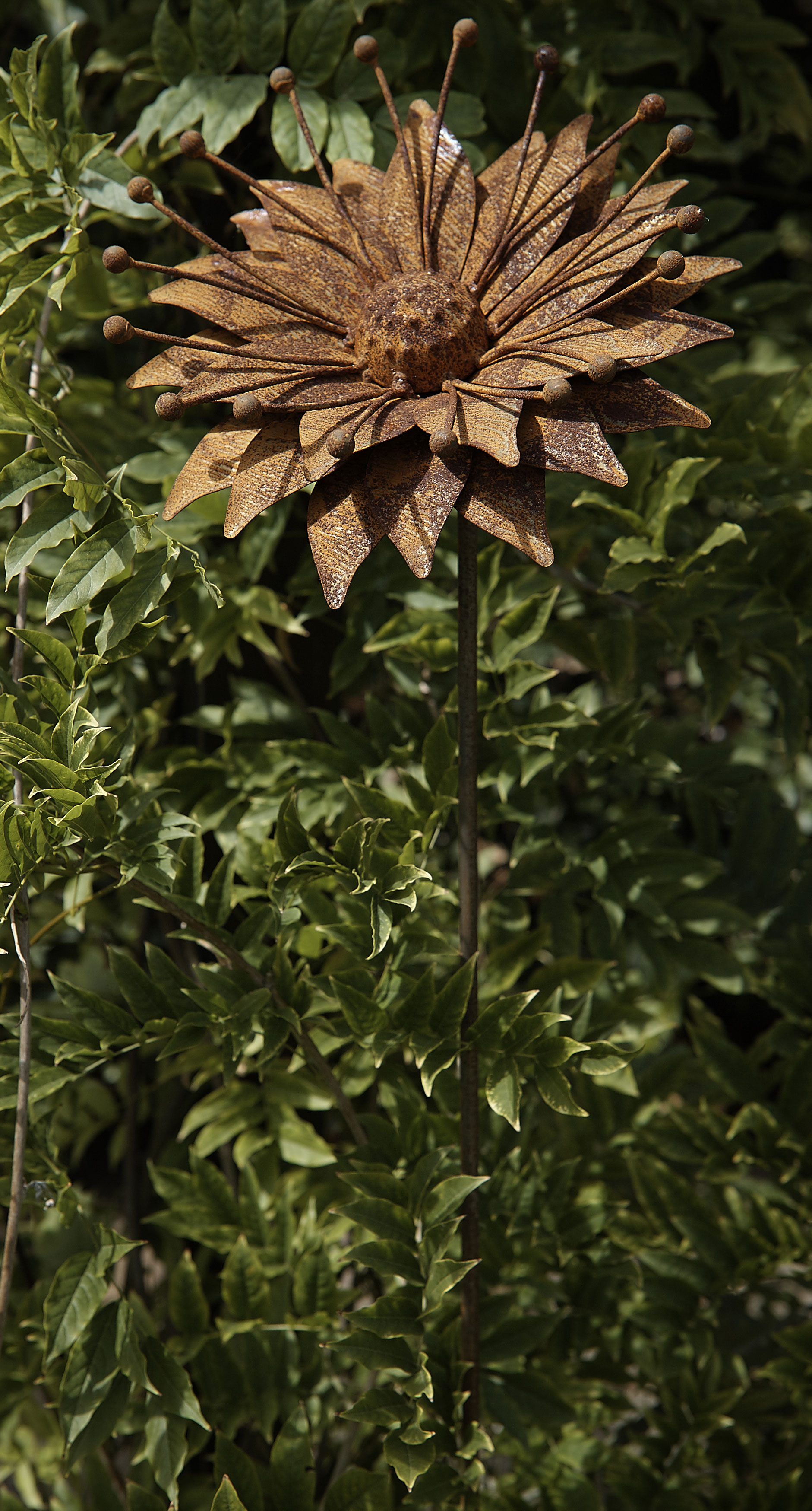 Rustic Gloriosa Plant Stake