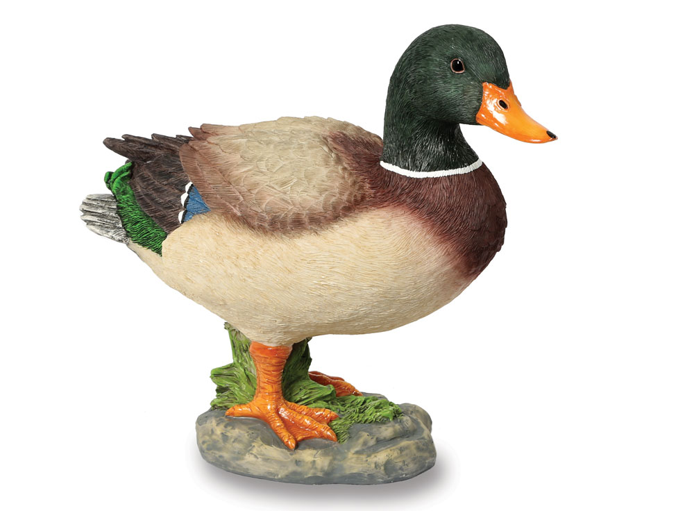 Content Duck - Garden Ornament