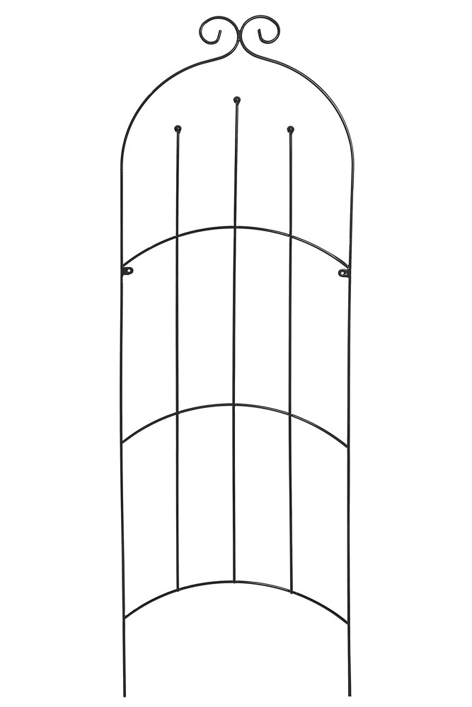 Mimosa Trellis (Large)