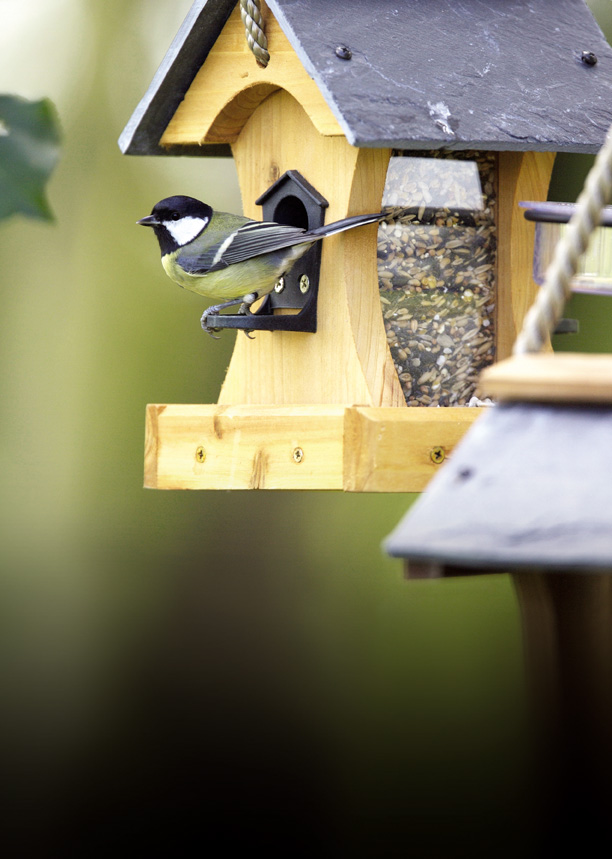 Bird Feeders