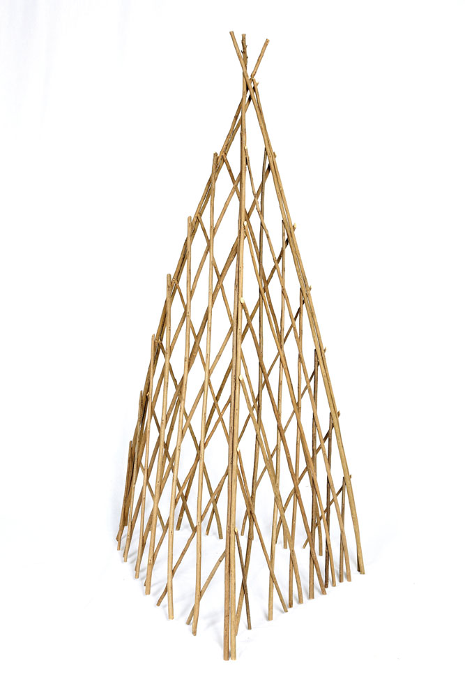 Acacia Willow Wigwam - 150cm high -  WIL018