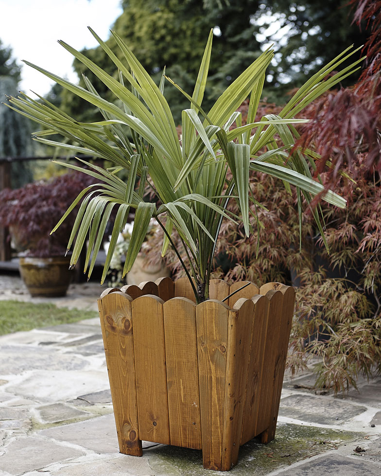 Tom Chambers Wooden Medium Lewis Planter