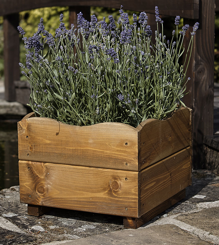 Tom Chambers Harris Wooden Square Planter