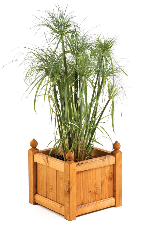 Wooden Planters