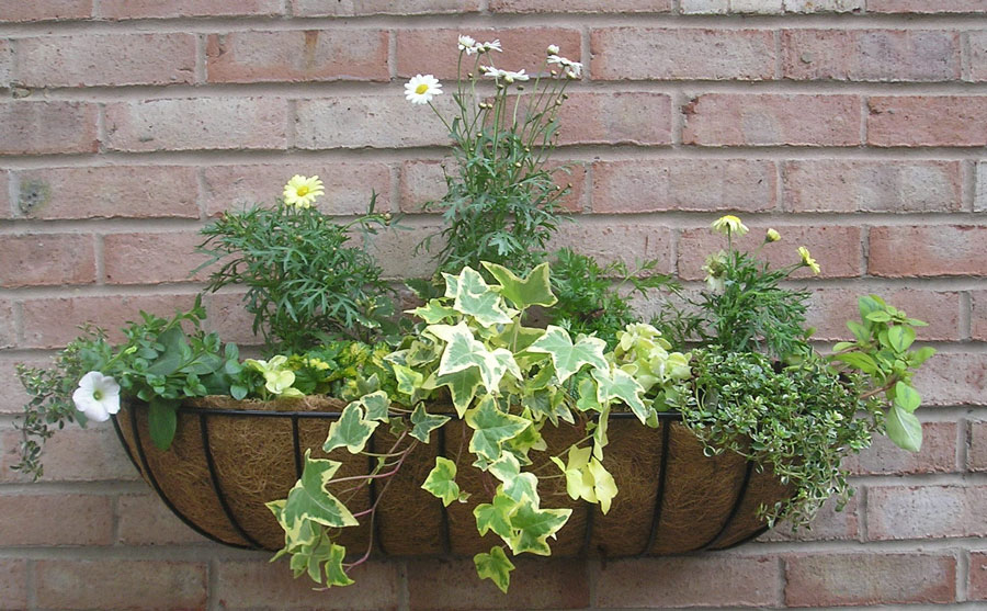 Classic Window Box 24