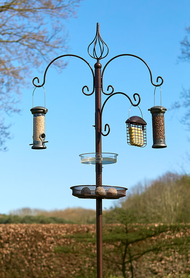 Ascot Bird Feeding Station 