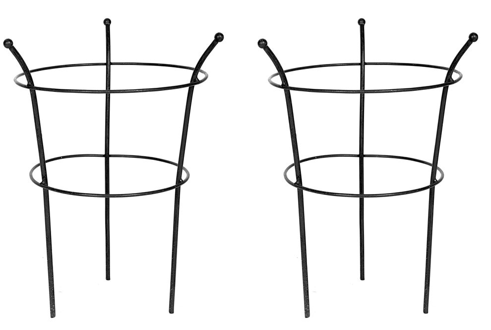 Set of 2 x Metal Garden Black Peony Cage Plant Support Frames