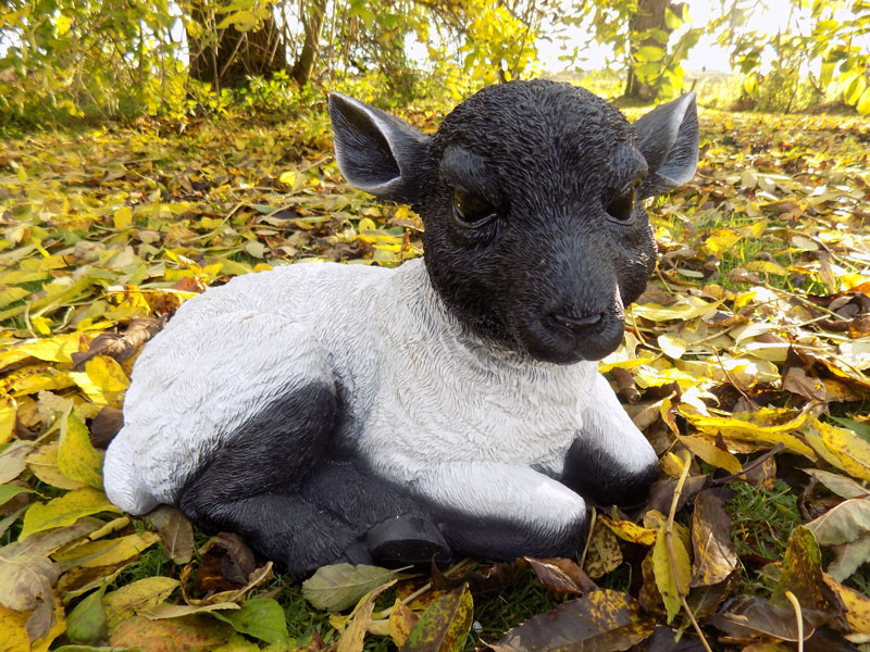 Black & White Small Laying Lamb - Garden Ornament