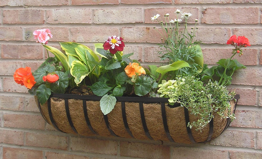 Esk Window Box 24