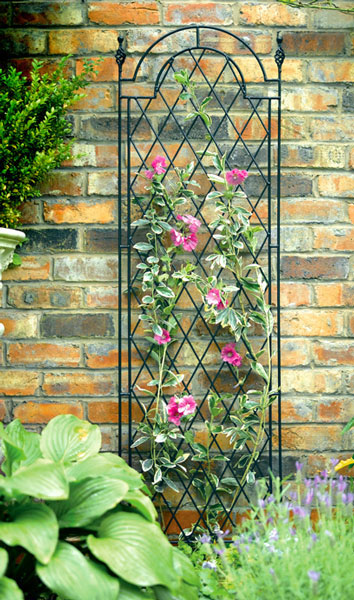 Trellis & Plant Supports