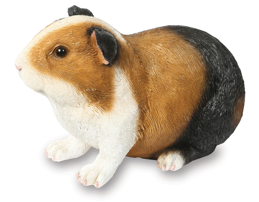 Smooth Haired Guinea Pig - Garden Ornament