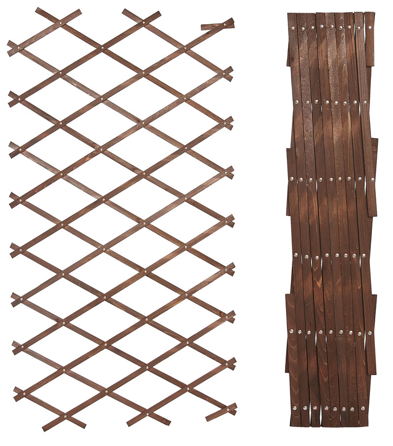 Riveted Diamond Expanding Wood Garden Trellis 180cm x 30cm