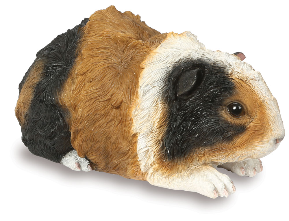 Rough Haired Guinea Pig - Garden Ornament