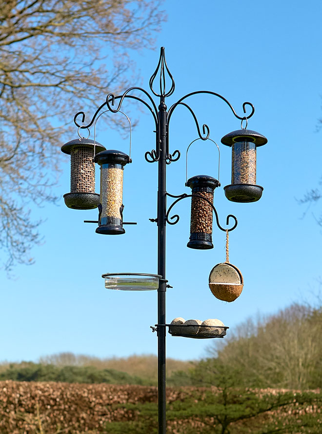 Harvest Bird Feeding Station