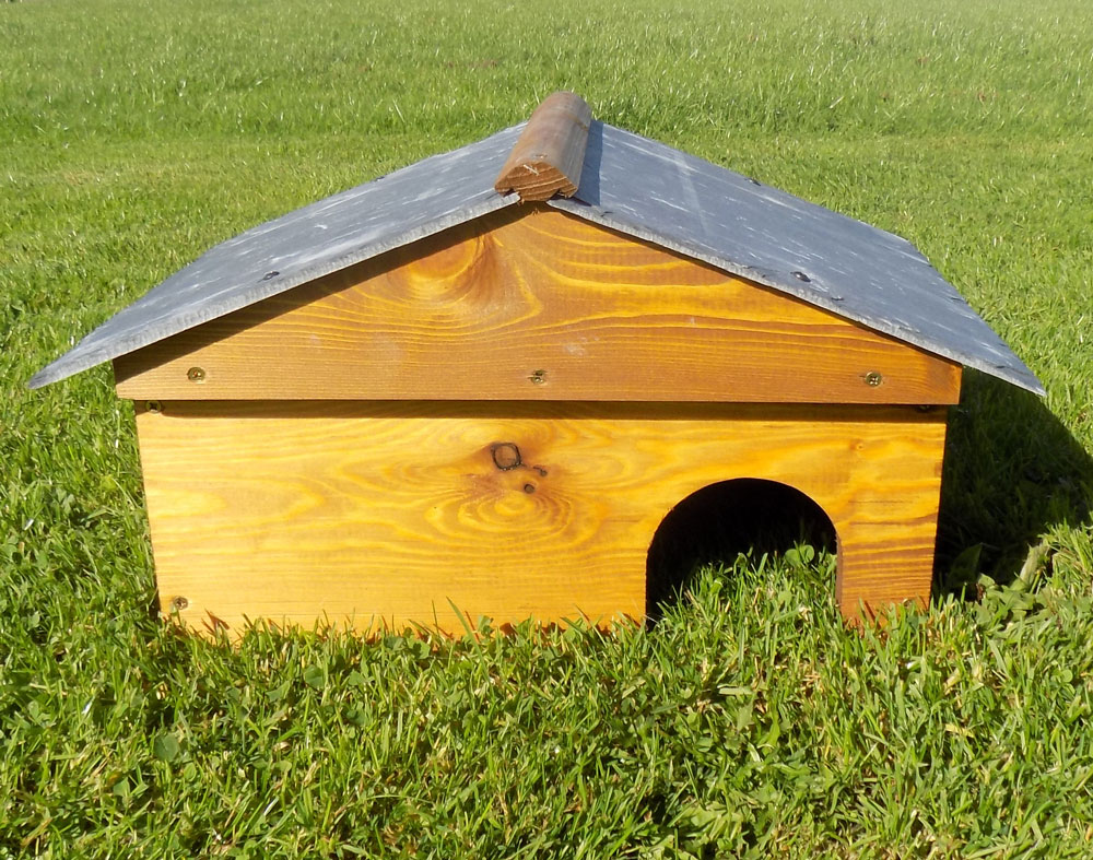 Hedgehog Houses