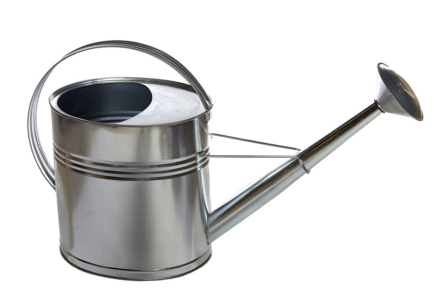 5L Long Reach Galvanised Watering Can