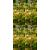 Set of 4 x 120cm Natural Rust Metal Ball Design Flower Plant Support Stakes - view 1