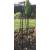 Ruddings Wood Drewton 1.7m Metal Garden Obelisk Support - view 2