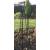 Ruddings Wood Drewton 1.7m Metal Garden Obelisk Support - view 2
