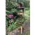 Wooden Bird Table Black Roof - view 3
