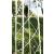 Climbing Plant Support Obelisk White Bird Design 127cm - view 2
