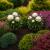 Peonies Support Tall Cone Cages Metal Natural Rust Large Pack Of 2 - view 1