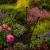 Ruddings Wood Twin Pack Metal Peony Plant Rose Supports - Large - view 4