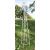 Climbing Plant Support Obelisk White Bird Design 127cm - view 1