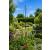 Byland Metal Obelisk for Climbing Plants 195cm Steel Garden Support - view 1