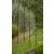 Cottage Metal Garden Arch - view 4