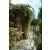 Eden Garden Arch Tom Chambers - view 1