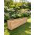 Large Wooden Planter Veg Herb Extra Depth - view 1