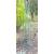 100cm high Mossdale Garden Obelisk - view 4