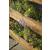 Wooden Stepped Raised Garden Herb Planter - view 2