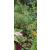 Helmsdale Garden Obelisk Rust Effect Small - view 4