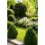 Belle Garden Decorative Metal Garden Arch Rust Finish - view 2