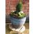 Natures Round 30cm Plant Pot Stand Trolley - view 2