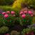 Ruddings Wood Twin Pack Metal Peony Plant Rose Supports - Medium - view 1