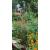 Helmsdale Garden Obelisk Rust Effect Extra Large - view 3