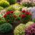Peonies Support Tall Cone Cages Metal Natural Rust Medium Pack Of 2  - view 1