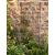 Spiral Wall Trellis Design Garden Rust Effect 120cm - view 1